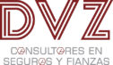 DVZ Consultores